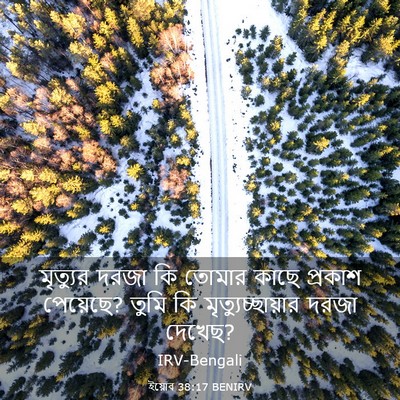 Picture 03 - ইয়োব 38:17 BENIRV - মৃত্যুর দরজা কি - Bible Verse Picture