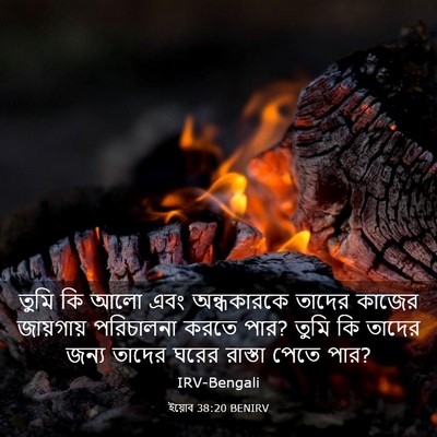 Picture 03 - ইয়োব 38:20 BENIRV - তুমি কি আলো এবং - Bible Verse Picture