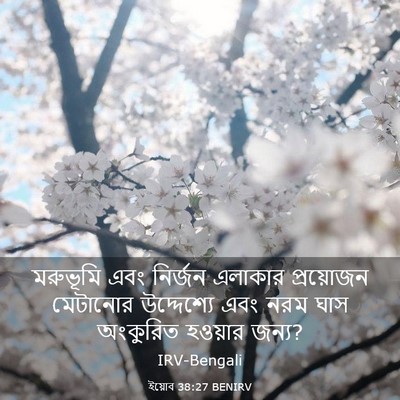 Picture 03 - ইয়োব 38:27 BENIRV - মরুভূমি এবং - Bible Verse Picture