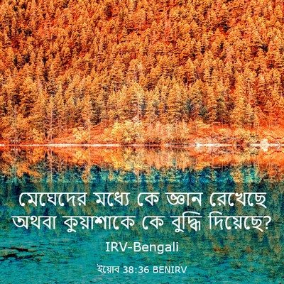 Picture 03 - ইয়োব 38:36 BENIRV - মেঘেদের মধ্যে কে - Bible Verse Picture