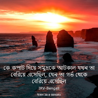 Picture 03 - ইয়োব 38:8 BENIRV - কে কপাট দিয়ে - Bible Verse Picture