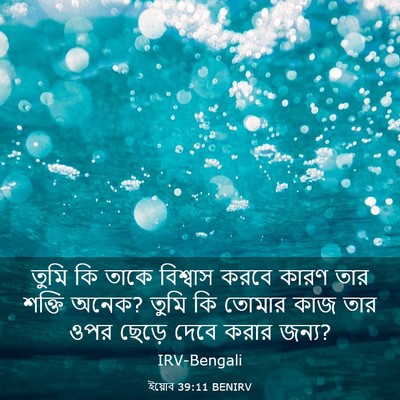Picture 03 - ইয়োব 39:11 BENIRV - তুমি কি তাকে - Bible Verse Picture