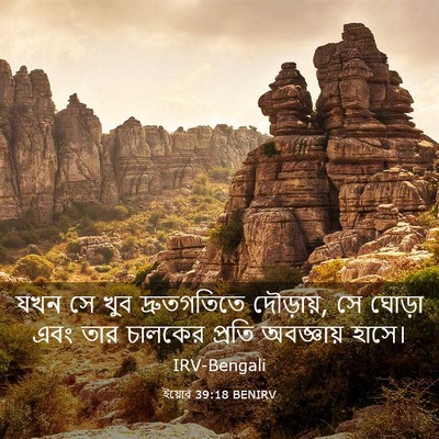 Picture 03 - ইয়োব 39:18 BENIRV - যখন সে খুব - Bible Verse Picture