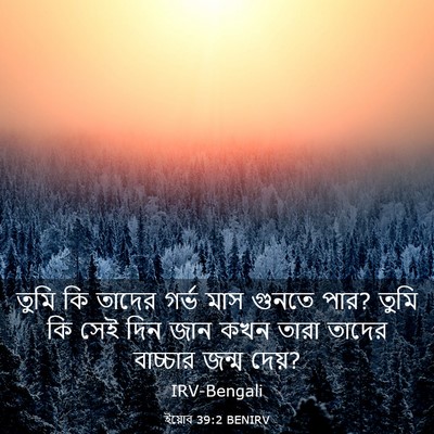 Picture 03 - ইয়োব 39:2 BENIRV - তুমি কি তাদের গর্ভ - Bible Verse Picture