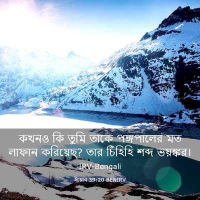 Picture 03 - ইয়োব 39:20 BENIRV - কখনও কি তুমি তাকে - Bible Verse Picture
