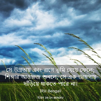 Picture 03 - ইয়োব 39:24 BENIRV - সে উগ্রতায় এবং - Bible Verse Picture