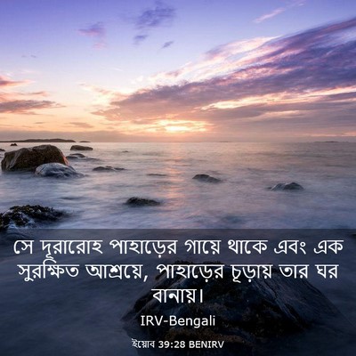 Picture 03 - ইয়োব 39:28 BENIRV - সে দূরারোহ - Bible Verse Picture