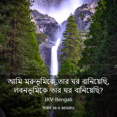 Picture 03 - ইয়োব 39:6 BENIRV - আমি মরুভূমিকে তার - Bible Verse Picture