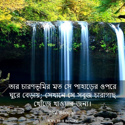 Picture 03 - ইয়োব 39:8 BENIRV - তার চারণভূমির মত - Bible Verse Picture