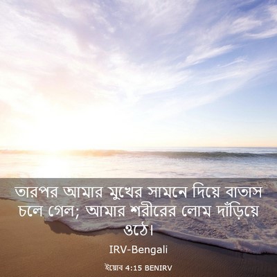Picture 03 - ইয়োব 4:15 BENIRV - তারপর আমার মুখের - Bible Verse Picture