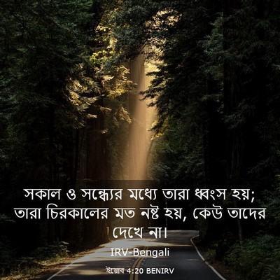 Picture 03 - ইয়োব 4:20 BENIRV - সকাল ও সন্ধ্যের - Bible Verse Picture