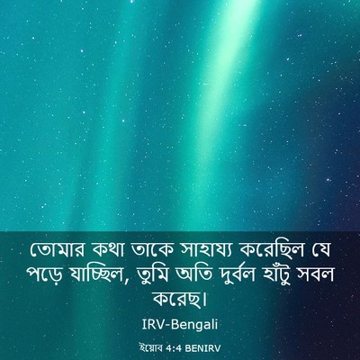 Picture 03 - ইয়োব 4:4 BENIRV - তোমার কথা তাকে - Bible Verse Picture