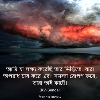 Picture 03 - ইয়োব 4:8 BENIRV - আমি যা লক্ষ্য - Bible Verse Picture