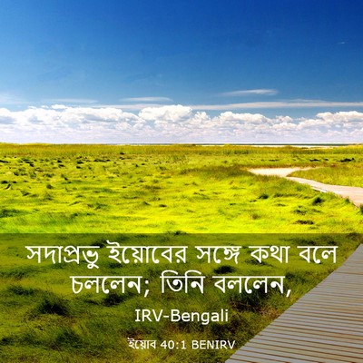 Picture 03 - ইয়োব 40:1 BENIRV - সদাপ্রভু ইয়োবের - Bible Verse Picture