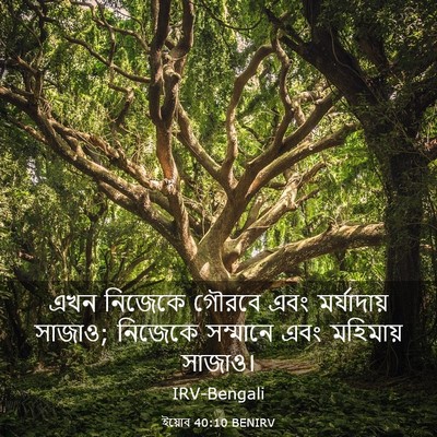 Picture 03 - ইয়োব 40:10 BENIRV - এখন নিজেকে গৌরবে - Bible Verse Picture