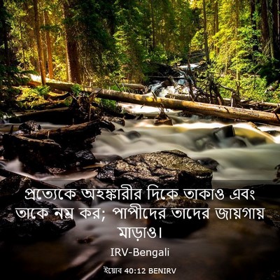 Picture 03 - ইয়োব 40:12 BENIRV - প্রত্যেকে - Bible Verse Picture