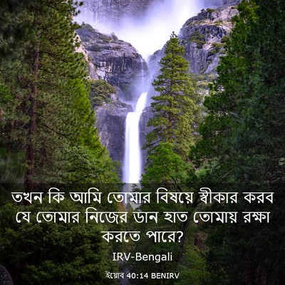 Picture 03 - ইয়োব 40:14 BENIRV - তখন কি আমি তোমার - Bible Verse Picture