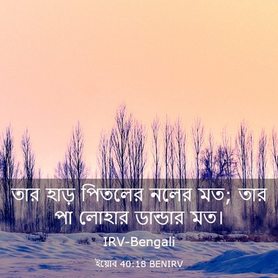 Picture 03 - ইয়োব 40:18 BENIRV - তার হাড় পিতলের - Bible Verse Picture