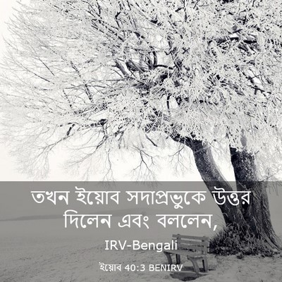 Picture 03 - ইয়োব 40:3 BENIRV - তখন ইয়োব - Bible Verse Picture