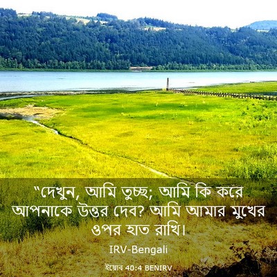Picture 03 - ইয়োব 40:4 BENIRV - “দেখুন, আমি তুচ্ছ; - Bible Verse Picture