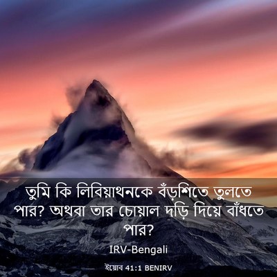 Picture 03 - ইয়োব 41:1 BENIRV - তুমি কি - Bible Verse Picture