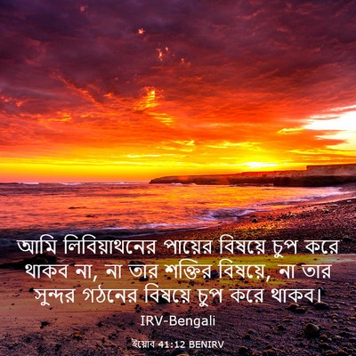 Picture 03 - ইয়োব 41:12 BENIRV - আমি লিবিয়াথনের - Bible Verse Picture
