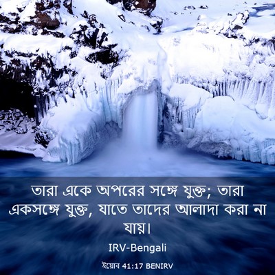 Picture 03 - ইয়োব 41:17 BENIRV - তারা একে অপরের - Bible Verse Picture