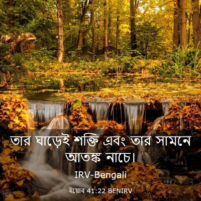 Picture 03 - ইয়োব 41:22 BENIRV - তার ঘাড়েই শক্তি - Bible Verse Picture