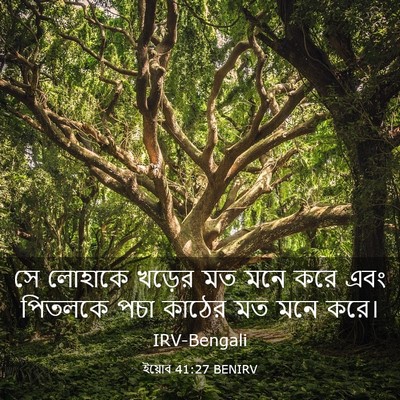 Picture 03 - ইয়োব 41:27 BENIRV - সে লোহাকে খড়ের মত - Bible Verse Picture