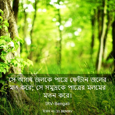 Picture 03 - ইয়োব 41:31 BENIRV - সে অগাধ জলকে - Bible Verse Picture