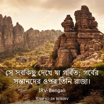 Picture 03 - ইয়োব 41:34 BENIRV - সে সবকিছু দেখে যা - Bible Verse Picture