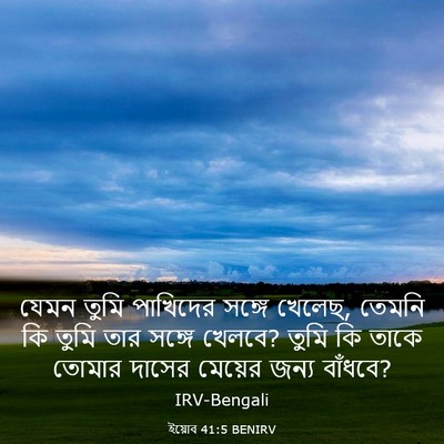 Picture 03 - ইয়োব 41:5 BENIRV - যেমন তুমি পাখিদের - Bible Verse Picture