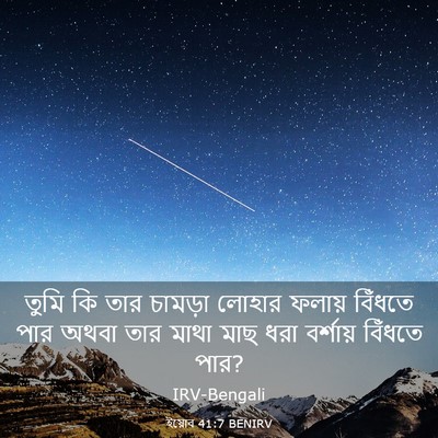Picture 03 - ইয়োব 41:7 BENIRV - তুমি কি তার চামড়া - Bible Verse Picture