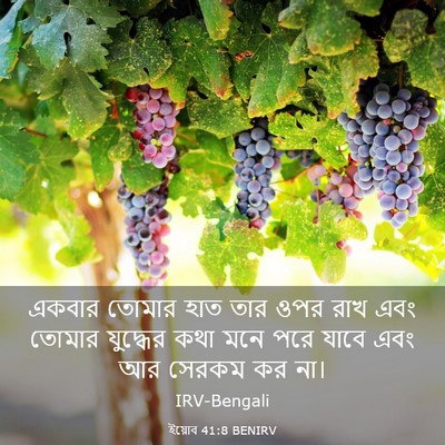 Picture 03 - ইয়োব 41:8 BENIRV - একবার তোমার হাত - Bible Verse Picture