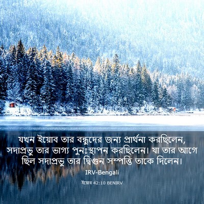 Picture 03 - ইয়োব 42:10 BENIRV - যখন ইয়োব তার - Bible Verse Picture