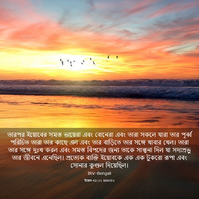 Picture 03 - ইয়োব 42:11 BENIRV - তারপর ইয়োবের - Bible Verse Picture