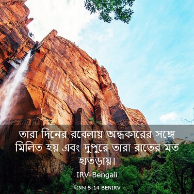 Picture 03 - ইয়োব 5:14 BENIRV - তারা দিনের - Bible Verse Picture