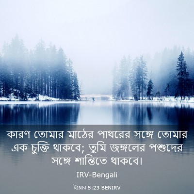 Picture 03 - ইয়োব 5:23 BENIRV - কারণ তোমার মাঠের - Bible Verse Picture
