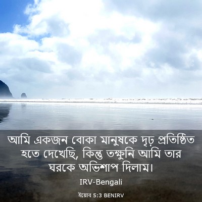 Picture 03 - ইয়োব 5:3 BENIRV - আমি একজন বোকা - Bible Verse Picture