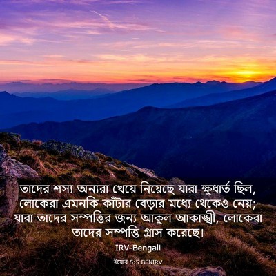 Picture 03 - ইয়োব 5:5 BENIRV - তাদের শস্য অন্যরা - Bible Verse Picture