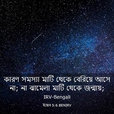 Picture 03 - ইয়োব 5:6 BENIRV - কারণ সমস্যা মাটি - Bible Verse Picture