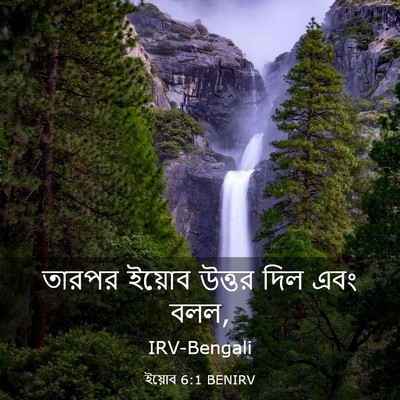 Picture 03 - ইয়োব 6:1 BENIRV - তারপর ইয়োব উত্তর - Bible Verse Picture