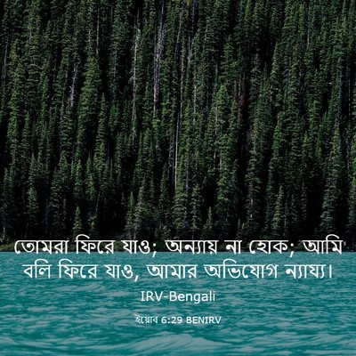 Picture 03 - ইয়োব 6:29 BENIRV - তোমরা ফিরে যাও; - Bible Verse Picture