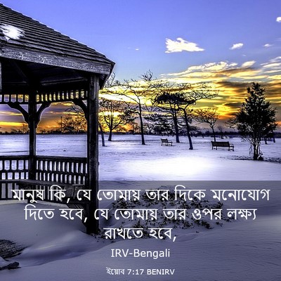 Picture 03 - ইয়োব 7:17 BENIRV - মানুষ কি, যে তোমায় - Bible Verse Picture