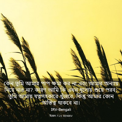 Picture 03 - ইয়োব 7:21 BENIRV - কেন তুমি আমার পাপ - Bible Verse Picture