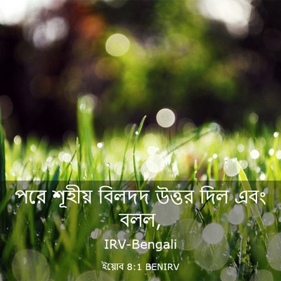Picture 03 - ইয়োব 8:1 BENIRV - পরে শূহীয় বিলদদ - Bible Verse Picture