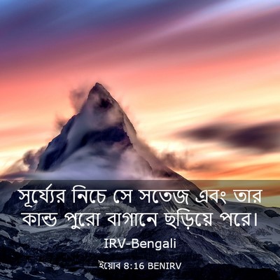 Picture 03 - ইয়োব 8:16 BENIRV - সূর্য্যের নিচে সে - Bible Verse Picture