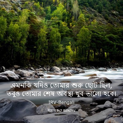 Picture 03 - ইয়োব 8:7 BENIRV - এমনকি যদিও তোমার - Bible Verse Picture