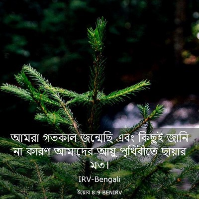 Picture 03 - ইয়োব 8:9 BENIRV - আমরা গতকাল - Bible Verse Picture