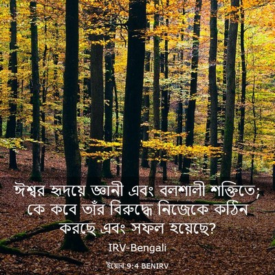 Picture 03 - ইয়োব 9:4 BENIRV - ঈশ্বর হৃদয়ে - Bible Verse Picture